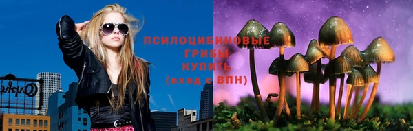 мескалин Лабытнанги