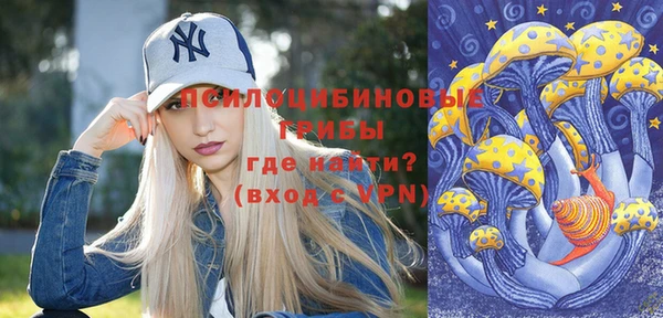 мескалин Лабытнанги