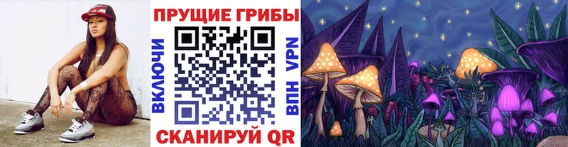 Купить закладки  Баксан  Галлюциногенные грибы Psilocybine cubensis 