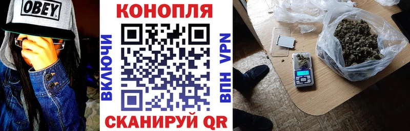 Каннабис планчик  Купить где  Баксан 
